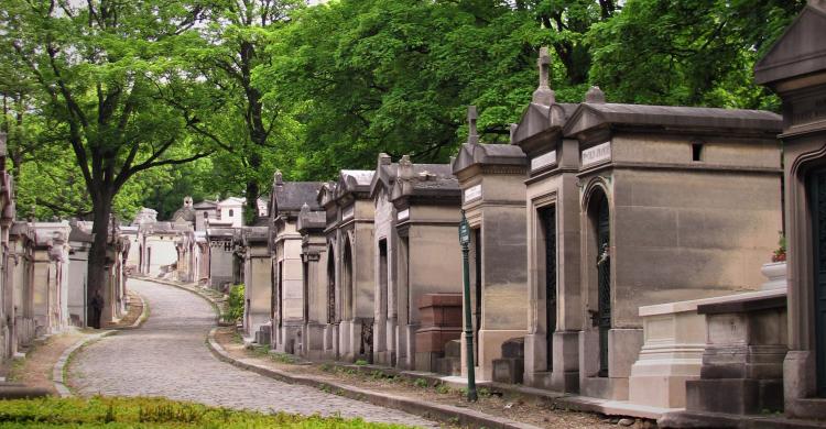 Senderos dentro del cementerio