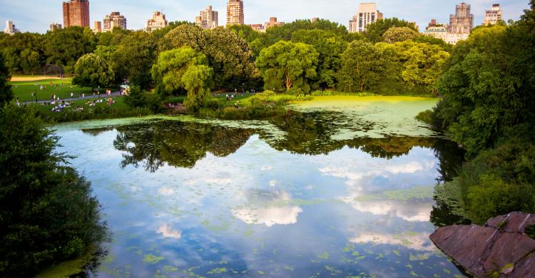 Pasea junto a un guía por el Central Park y sus principales atractivos