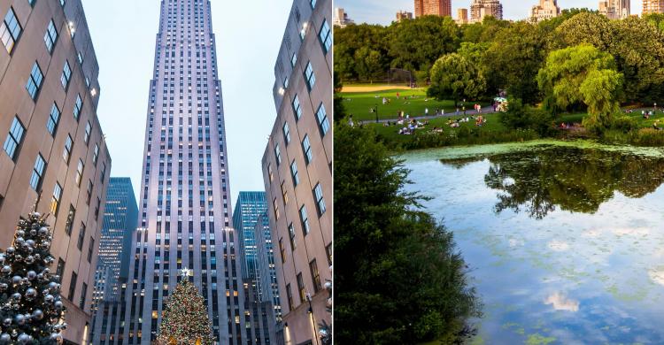 2 en 1: visita guiada por el Central Park y subida a la cima del Rockefeller Center