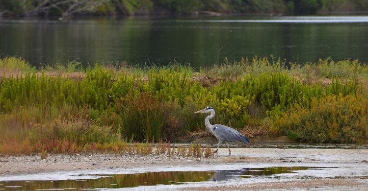 circeo parque