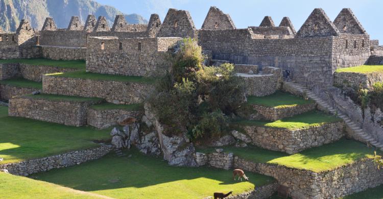 Sector urbano de la ciudadela del Machu Picchu