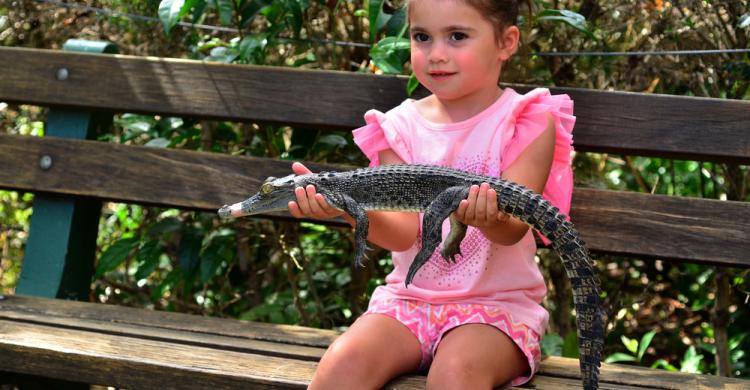 Niña sosteniendo una cría de caimán