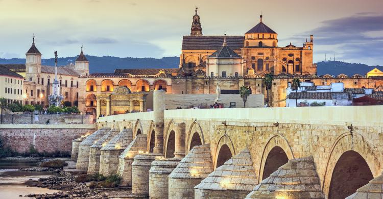 Excursión a Córdoba desde Sevilla