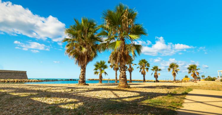 Costa de Civitavecchia