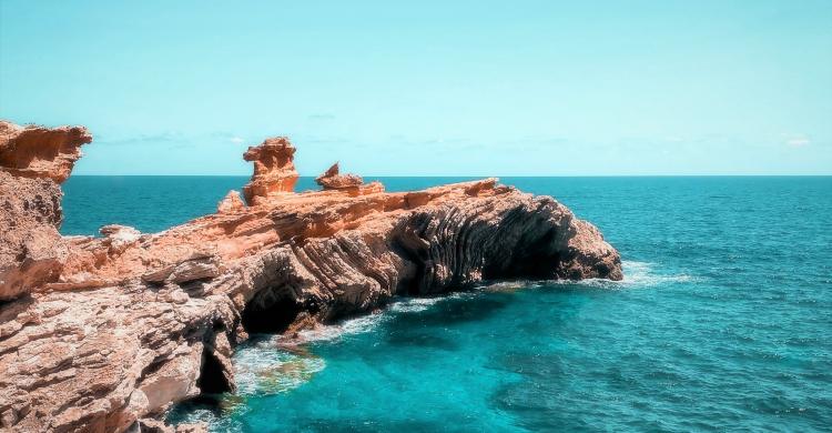 Conociendo la naturaleza de la isla desde el mar