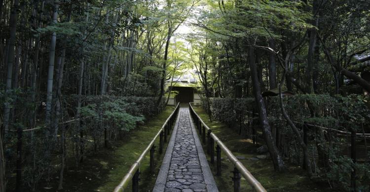 Daitoku-ji - Kioto