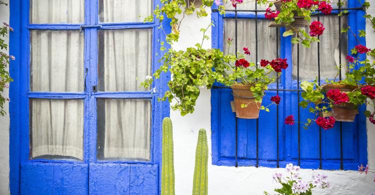 Decoración típica de los Patios Cordobeses