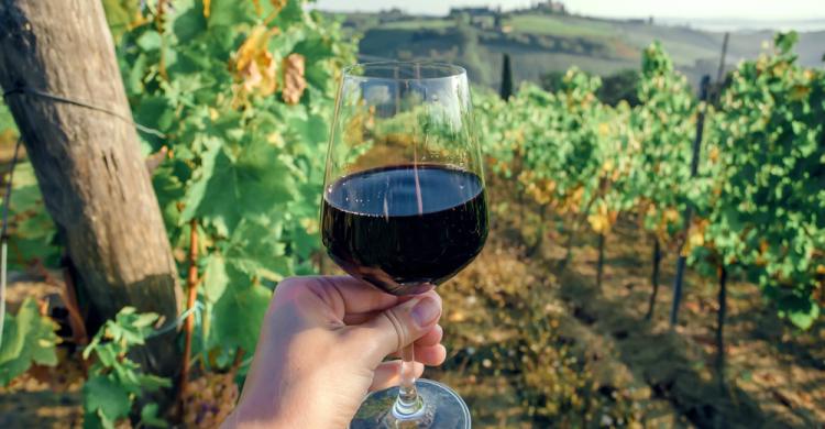 Degustación de vino local en el Chianti