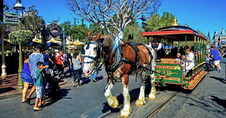 Disney California Adventure Park