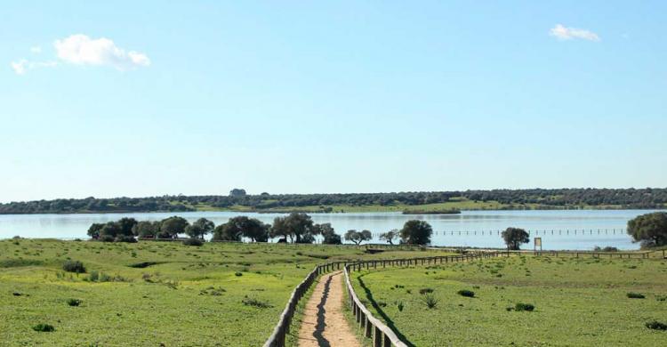 Reserva natural de Doñana