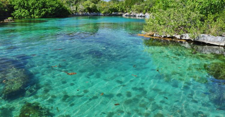 Ecoparque Xel-Ha