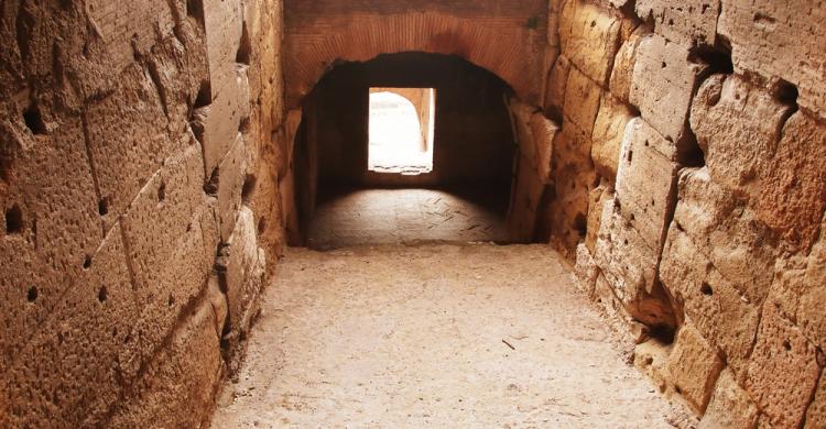 Entrada de los gladiadores a la arena del Coliseo