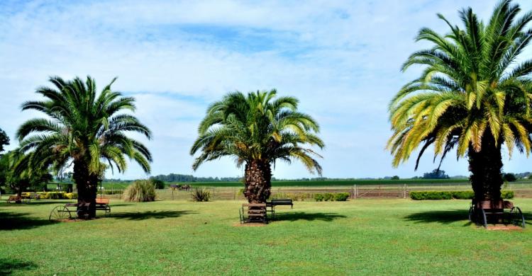 Los jardines de la estancia