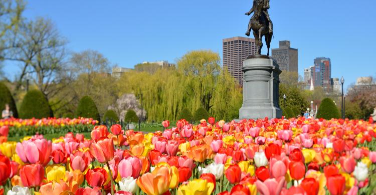 Estatua de George Washington