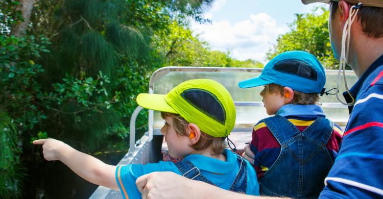 Parque Everglades con niños