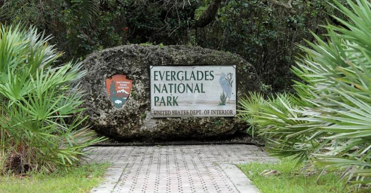 Parque Nacional de los Everglades, declarado Patrimonio de la Humanidad por la Unesco