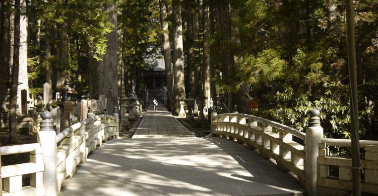 Excursión al Monte Kōya