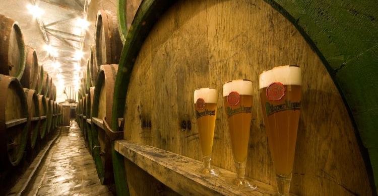Fabrica y degustación de cerveza Pilsner