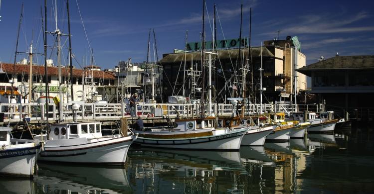 Fisherman's Wharf