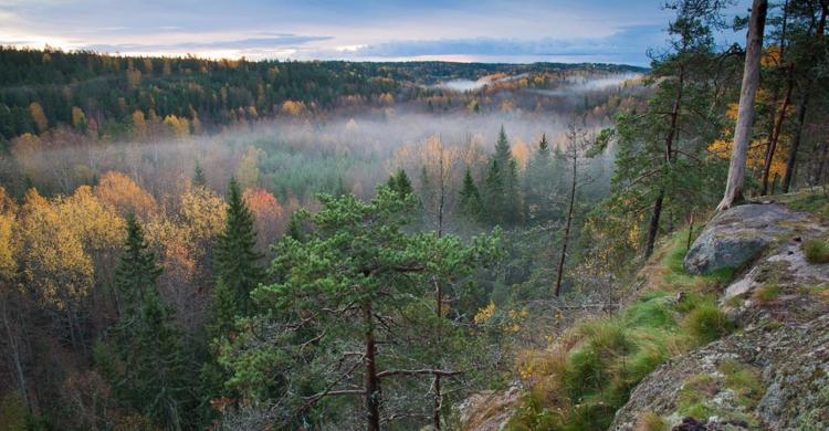 Naturaleza del Parque Nacional Nuuksio de Finlandia