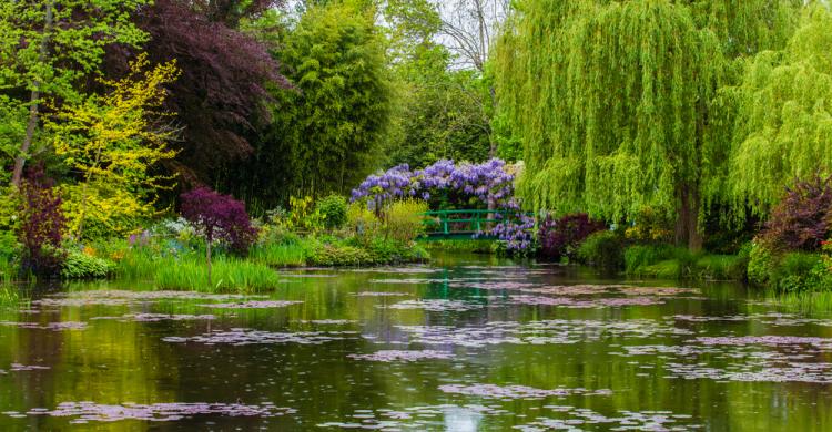 Naturaleza de los jardines de Monet