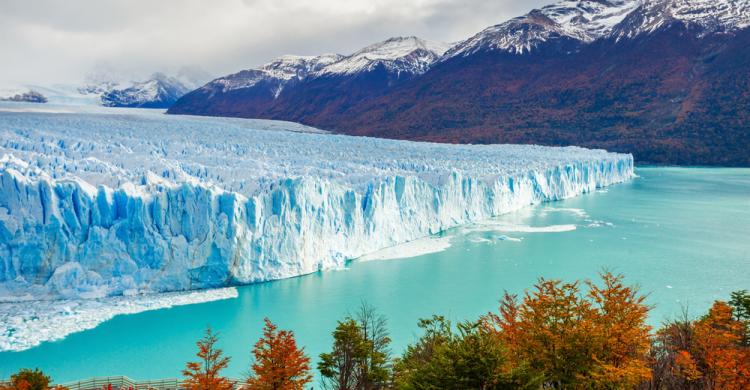 Vista panorámica de la pared frontal del glaciar