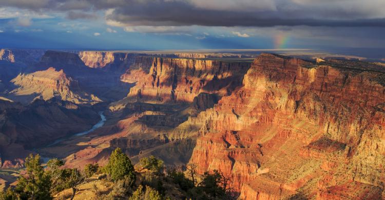 El South Rim