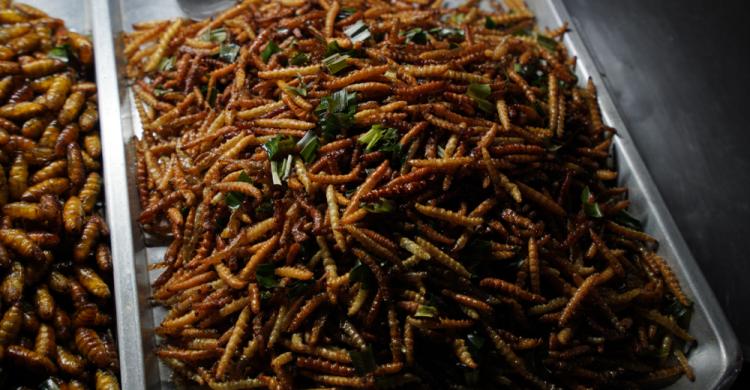 Insectos en el Mercado de Patpong, Bangkok