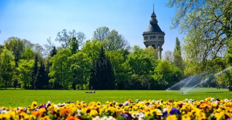 Isla Margarita en Budapest