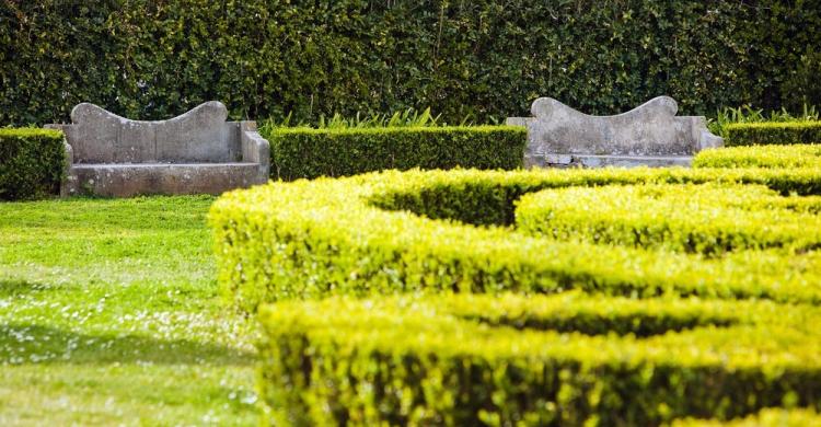 Jardín botánico de Lisboa