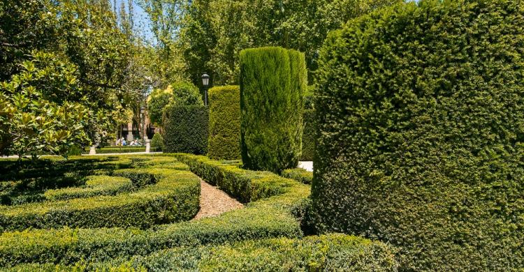 Jardin Botánico Madrid