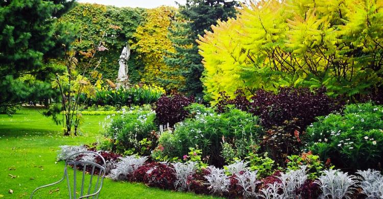 jardin tullerias