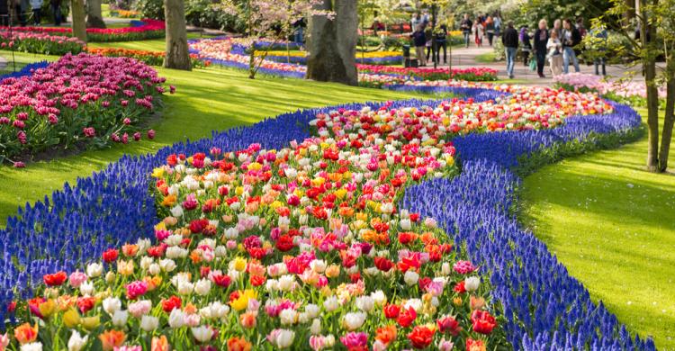 Los jardines de tulipanes de Keukenhof