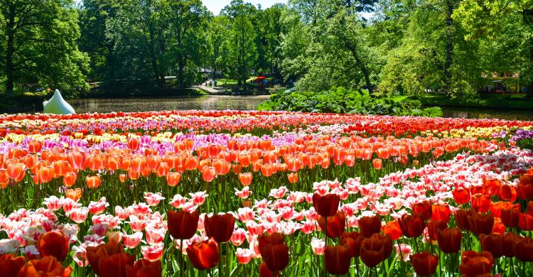 Jardines y lago de Keukenhof