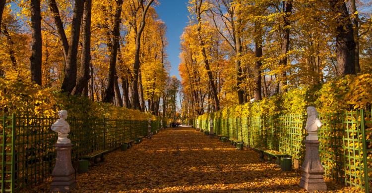 Jardines de Verano de San Petersburgo