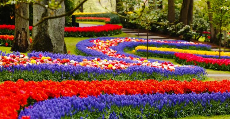 Jardines Keukenhof