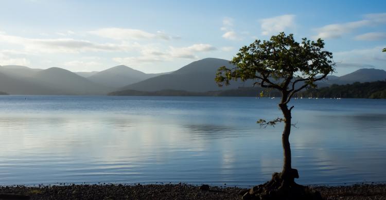 Lago Lomond