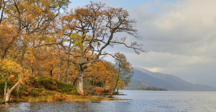 Lago Lomond