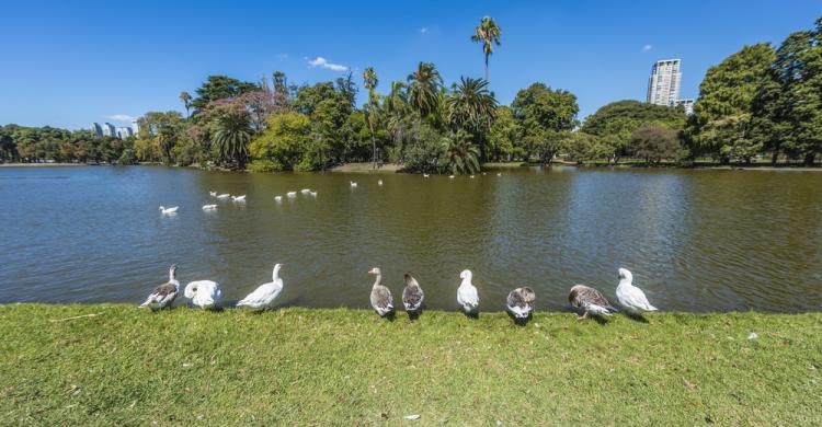 Lagos de Palermo