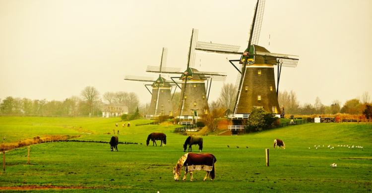 Molinos de Zaanse Schans