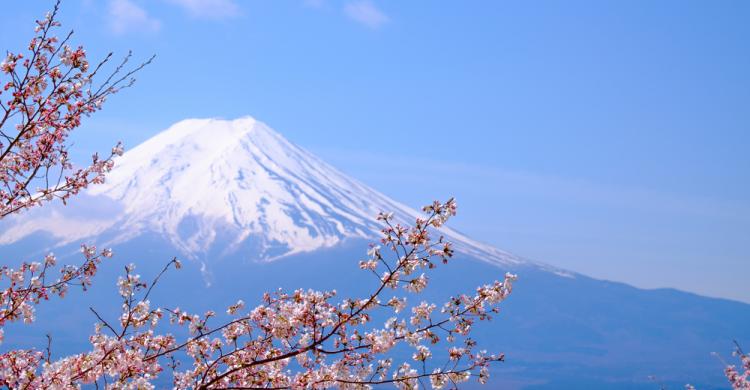 Vistas del Monte Fuji