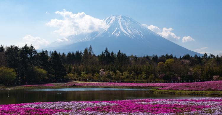 Monte Fuji, desde la región de los cinco lagos