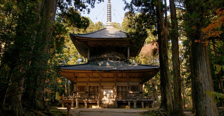 Templo budista Danjō-garan en el Monte Kōya
