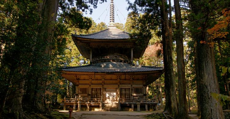 Templo budista Danjō-garan en el Monte Kōya