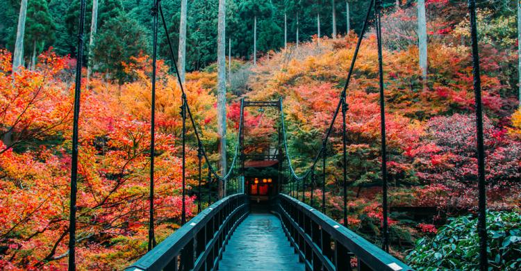 Monte Takao