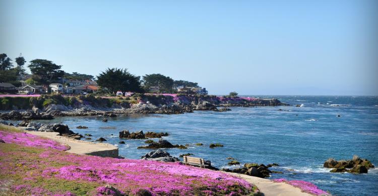 Playa de Monterrey