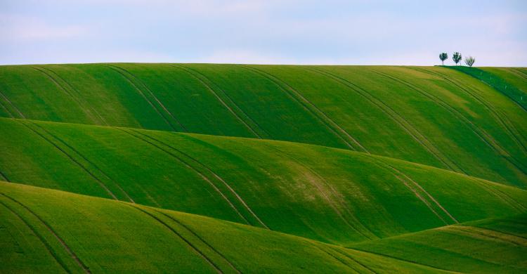 Paisaje de la región de Moravia