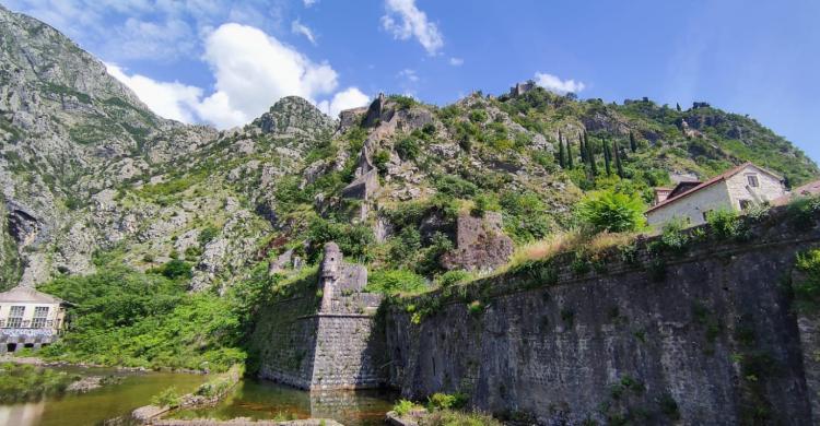 Muralla bahía de Kotor