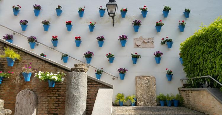 Muro decorado con macetas y flores de colores