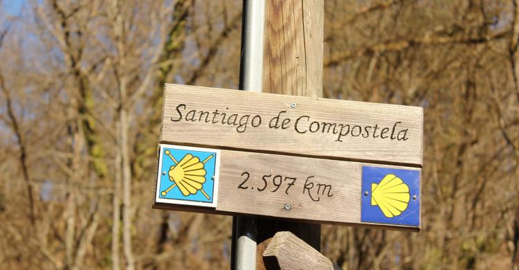 Camino de Santiago